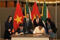 南非媒体：南非和越南应继续推动两国贸易关系务实发展