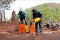 Gia Lai chủ động công tác phòng cháy, chữa cháy rừng