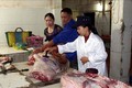 Đảm bảo chất lượng bữa ăn ca cho người lao động vùng dịch tả lợn châu Phi
