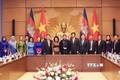柬埔寨国会代表团对越南进行正式访问