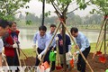 Hà Nội trồng thêm nhiều cây hoa anh đào tại Công viên Hòa Bình