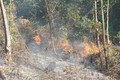 Kon Tum chủ động phòng, chống cháy rừng trước nguy cơ mùa khô năm 2019 sẽ khắc nghiệt và kéo dài