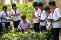 Xây dựng trường học thân thiện ở ngôi trường dành cho con em đồng bào Khmer