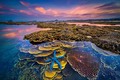 富安省需加强对燕岛珊瑚礁的保护措施 