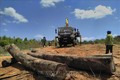 Kon Tum tăng cường công tác quản lý và bảo vệ rừng