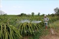 Người dân vùng cao Thuận Hòa thiếu nước sạch trong mùa khô