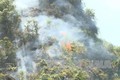 Nhiều vụ cháy rừng xảy ra ở huyện Trạm Tấu