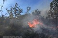 Sơn La liên tiếp xảy ra bảy vụ cháy rừng diện rộng