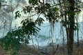 Nắng nóng gây nhiều điểm cháy rừng nhỏ trên địa bàn tỉnh Lào Cai