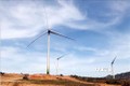 Ninh Thuận khởi công dự án Nhà máy Điện gió Win Energy Chính Thắng