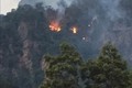 Sơn La: Cơ bản khống chế được cháy rừng đặc dụng Xuân Nha