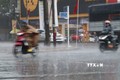 Những cơn mưa "quý như vàng" giải nhiệt giữa cao điểm mùa khô ở ​An Giang, Tiền Giang