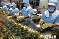越南农产品远销180个市场