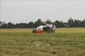 Tiền Giang liên kết sản xuất lúa có lợi cho nông dân