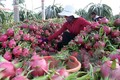 今年第一季度越南农林水产品出口下降3%