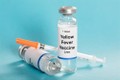 Phát hiện vaccine chống sốt vàng hữu dụng với Zika