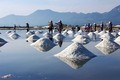 Nghề làm muối ở Ninh Thuận
