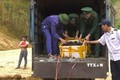 Biên phòng Lào Cai bắt và tiêu hủy hàng tấn thực phẩm không rõ nguồn gốc