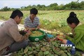 Thừa Thiên - Huế hỗ trợ phát triển 16 sản phẩm chủ lực