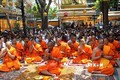 Đại lễ Phật đản 2019: Tôn giáo kết nối truyền thống văn hóa người Khmer ở đô thị