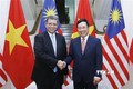 越南政府副总理兼外长范平明与马来西亚外交部长赛夫丁举行会谈
