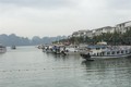 Hiệu quả mô hình “tàu du lịch chở khách ghép” trên vịnh Hạ Long