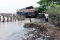 Tình trạng sạt lở bờ sông, xói lở bờ biển ở Kiên Giang diễn biến phức tạp