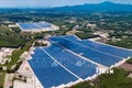 Nhà máy điện mặt trời đầu tiên tại Bình Định hòa lưới điện quốc gia