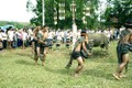 Múa dân gian trong các lễ hội truyền thống của người K'Ho