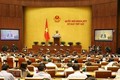 越南第十四届国会第七次会议：28日国会代表就3部法律草案进行讨论