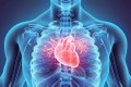 Nhật Bản đẩy mạnh nghiên cứu chữa bệnh tim bằng tế bào gốc