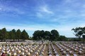 在老挝牺牲的26位烈士将在九号公路国家烈士陵园安息