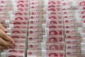 广宁省逮捕非法运输货币的两名外国嫌疑人