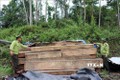 Quảng Nam nâng cao nhận thức của người dân, thực hiện nghiêm chủ trương dừng khai thác gỗ rừng tự nhiên