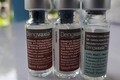 Mỹ cấp phép sử dụng vaccine phòng sốt xuất huyết Dengvaxia