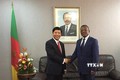 政府总理特使、外交副部长阮国强对喀麦隆进行工作访问
