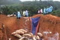 Các địa phương chủ động phòng, chống dịch tả lợn châu Phi