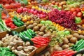 今年前5月越南蔬果出口额达18.3亿美元