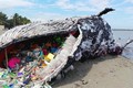 科学研究为塑料垃圾污染防治政策夯实基础