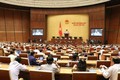 越南第十四届国会第七次会议进入第三周