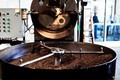 日本丸红将出资逾1.17亿美元在越投资兴建咖啡加工厂