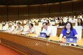 越南第十四届国会第七次会议对《公共投资法（修正案）》草案展开讨论