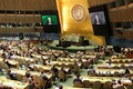 越南与联合国安理会：为世界和平与安全贡献力量