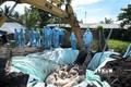 政府总理对非洲猪瘟防控工作做出重要指示