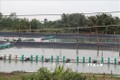 Vùng duyên hải Gò Công phát huy tiềm năng nuôi thủy sản xuất khẩu