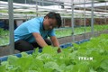 Anh Hồ Thanh Huy thành triệu phú nhờ mô hình trồng rau nuôi cá tự động