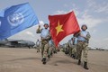 越南与联合国安理会：强化越南为世界和平贡献力量的承诺