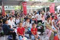 Hơn 3.000 trẻ em ở Nghệ An được khám sàng lọc bệnh tim bẩm sinh miễn phí