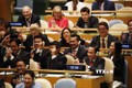 越南与联合国安理会：越南继续为世界和平、发展与繁荣作出更大的贡献
