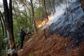 Liên tiếp xảy ra nhiều vụ cháy rừng ở Nghệ An